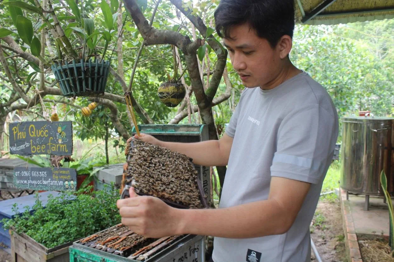 Ba Hùng, một người nuôi ong trên đảo Phú Quốc. Ảnh: Sen Nguyễn