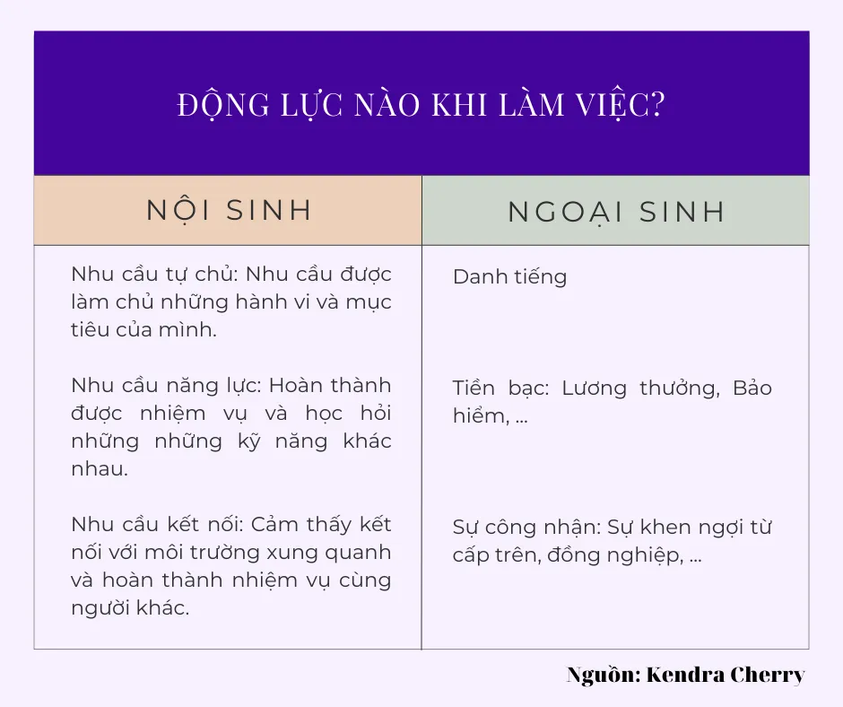 Động lực nào khi làm việc