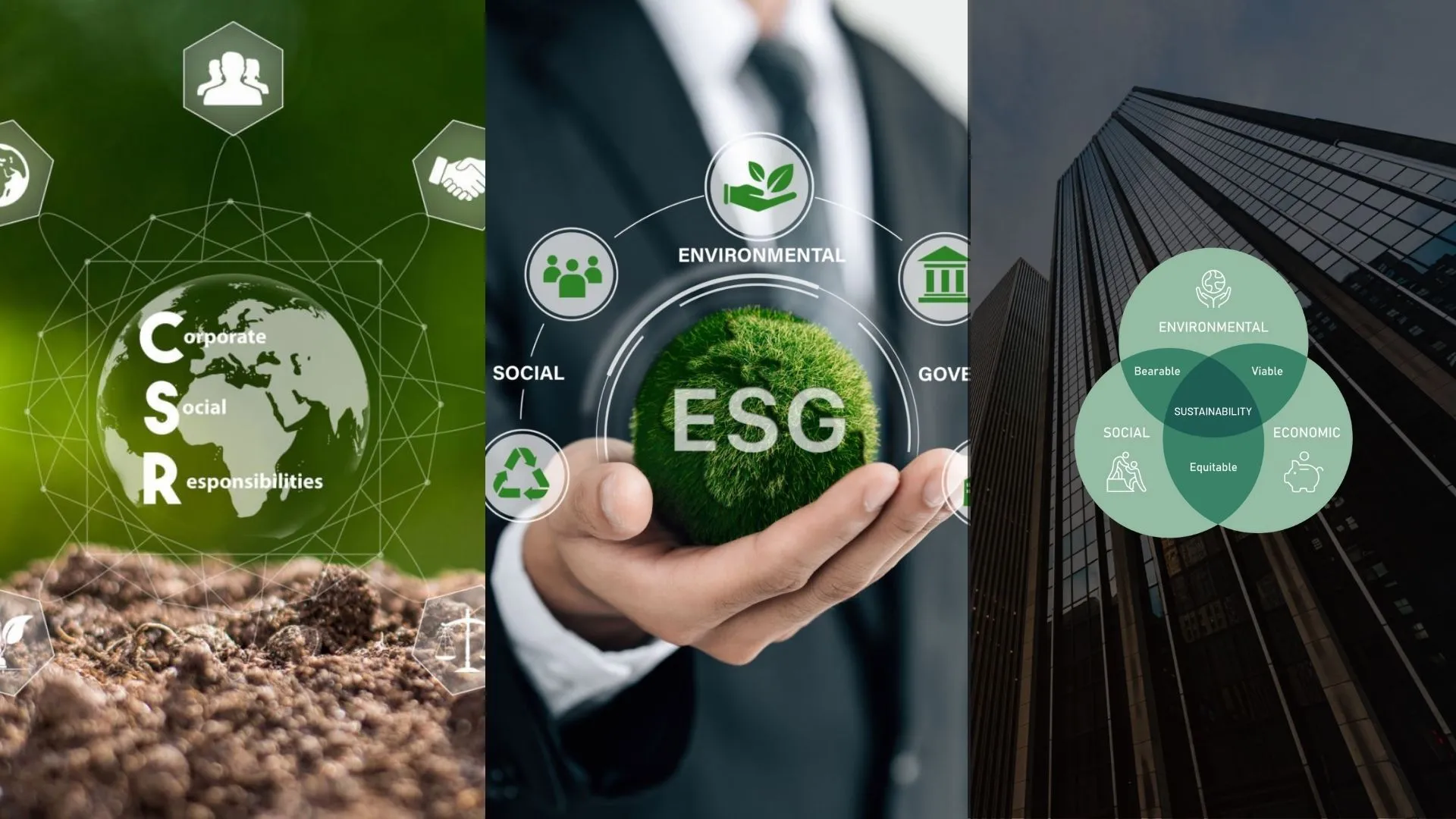 CSR - ESG - Phát triển bền vững