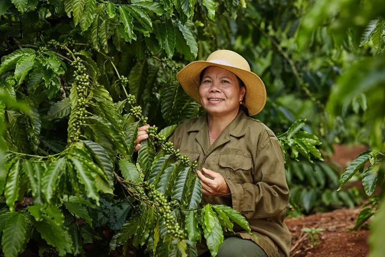 chiến lược tạo giá trị chung