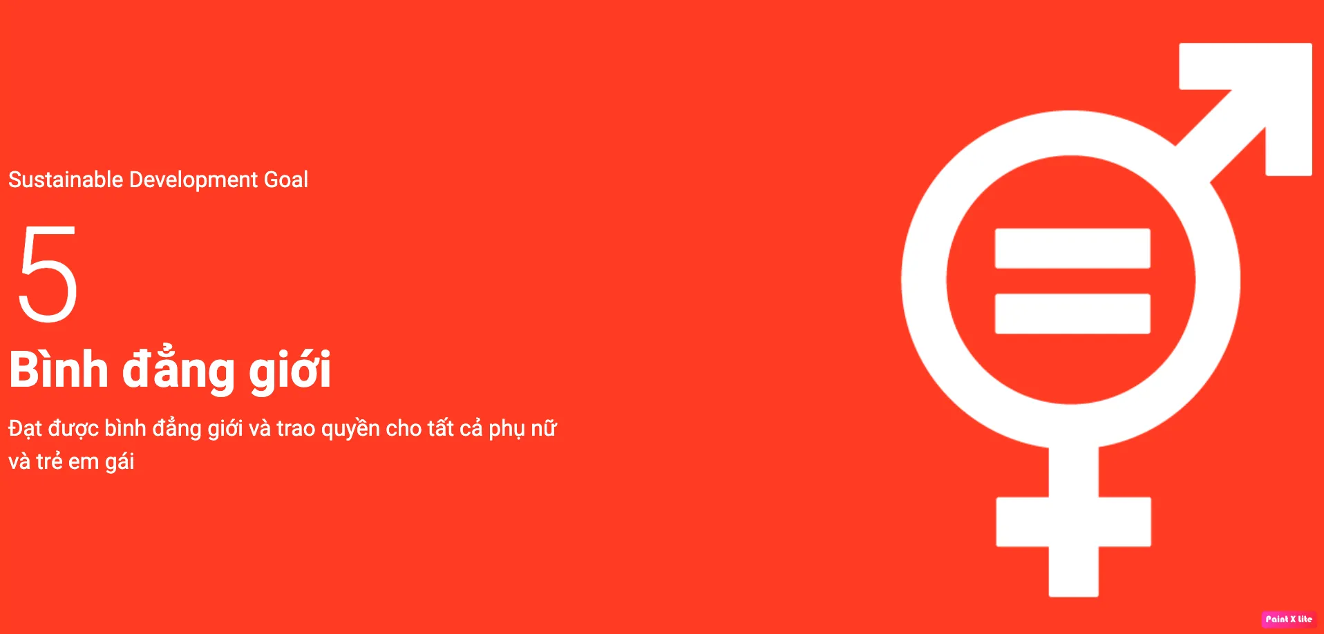 Nguồn: https://vietnam.un.org/vi/sdgs/5