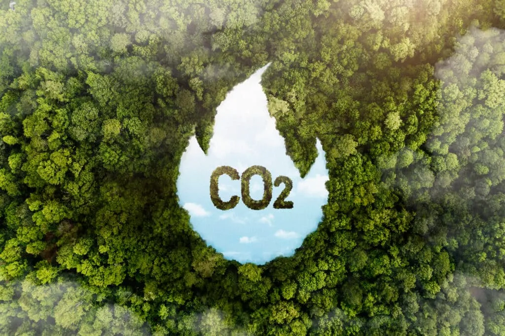 Dù thị trường tín chỉ carbon chưa chính thức vận hành tại Việt Nam nhưng các dự án tín chỉ carbon theo tiêu chuẩn quốc tế độc lập đang dần được triển khai