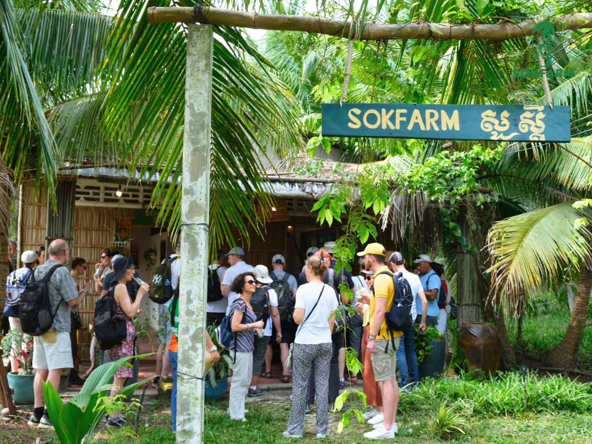 Mật hoa dừa Trà Vinh