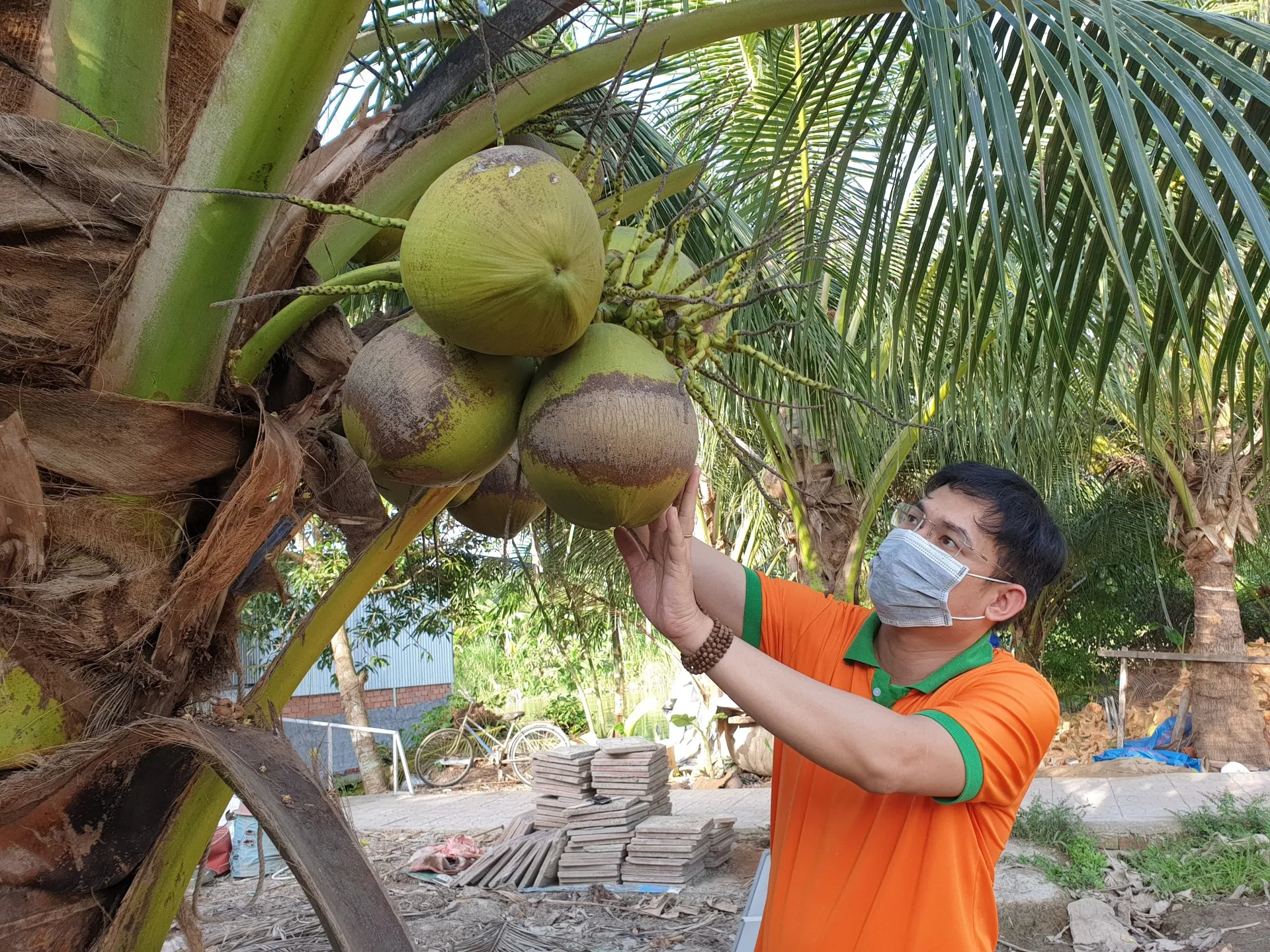 phát triển bền vững