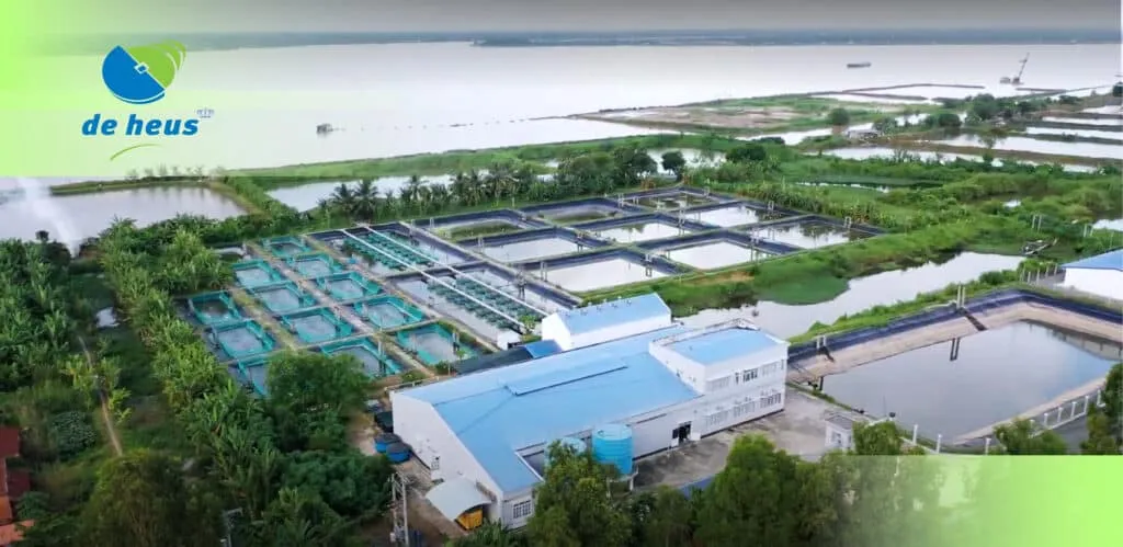 De Heus Việt Nam trực thuộc Tập đoàn Hoàng gia De Heus (Hà Lan), là một trong những tập đoàn dẫn đầu ngành Thức ăn chăn nuôi với hơn 110 năm kinh nghiệm