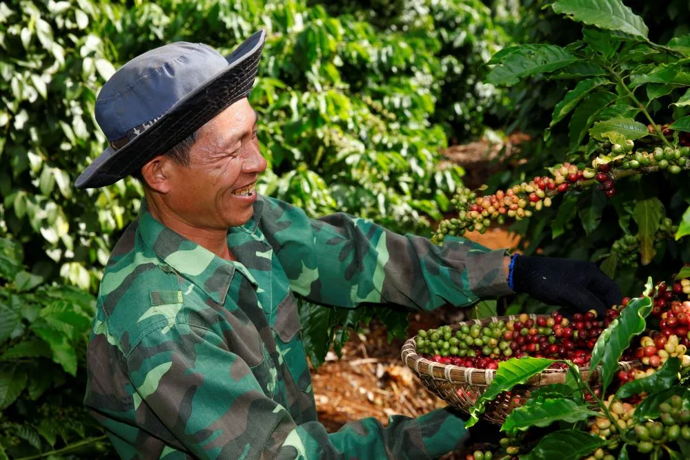 chiến lược tạo giá trị chung