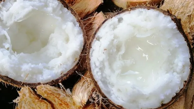 phát triển bền vững
