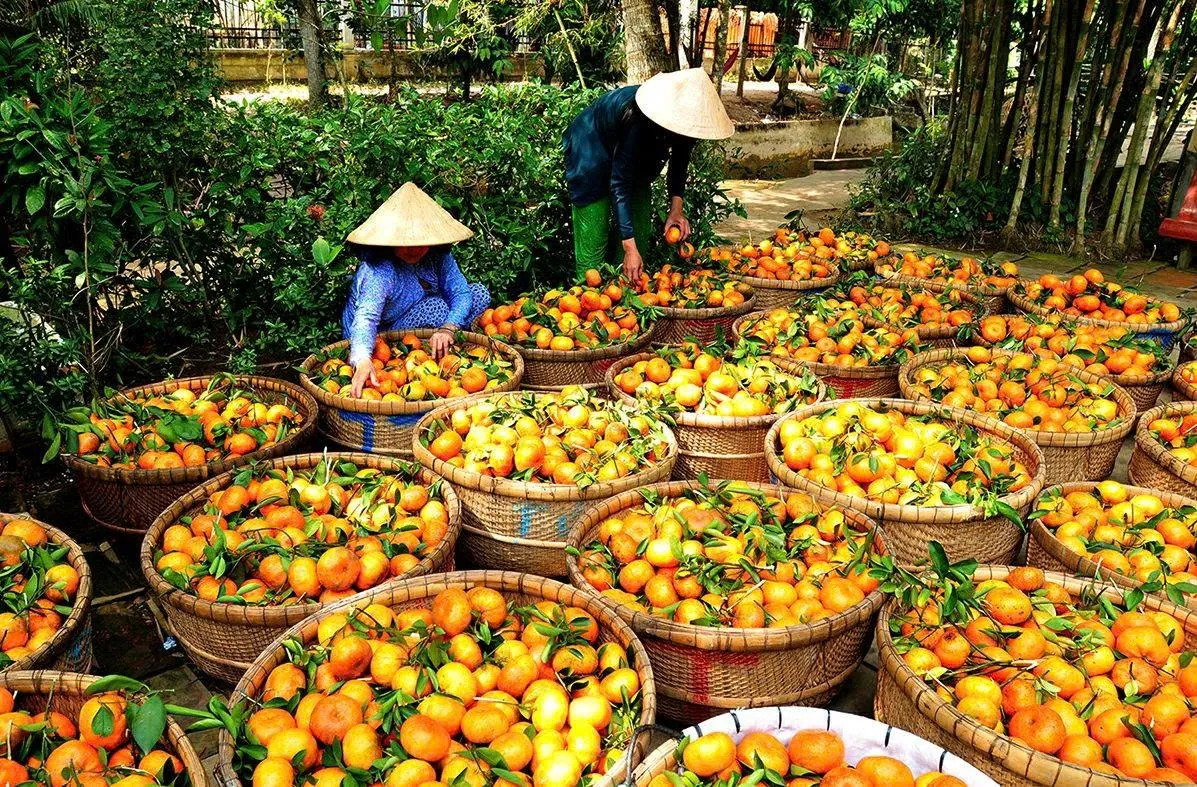 Gợi ý địa điểm vi vu Lễ Quốc Khánh vừa ‘chữa lành’, vừa ‘không đau ví’