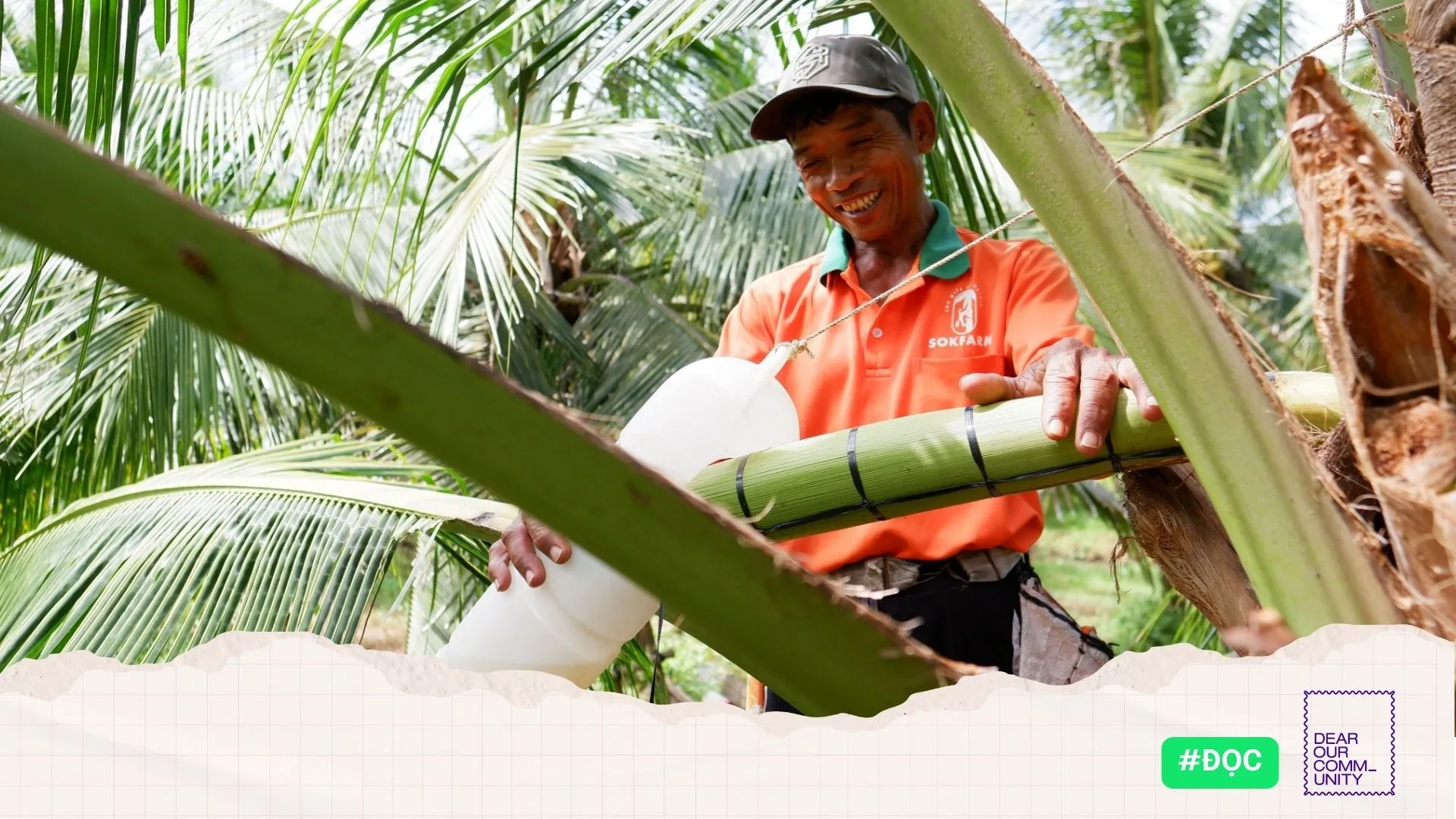 Mật hoa dừa Trà Vinh: ‘nông nghiệp hạnh phúc’ khởi đầu từ hạn, mặn