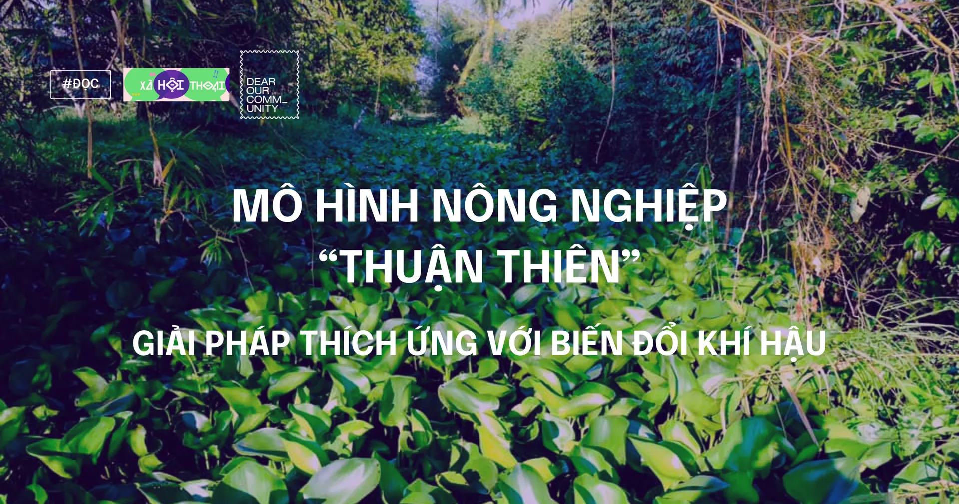 Mô hình nông nghiệp “Thuận thiên”: giải pháp thích ứng với Biến Đổi Khí Hậu (BDKH)”