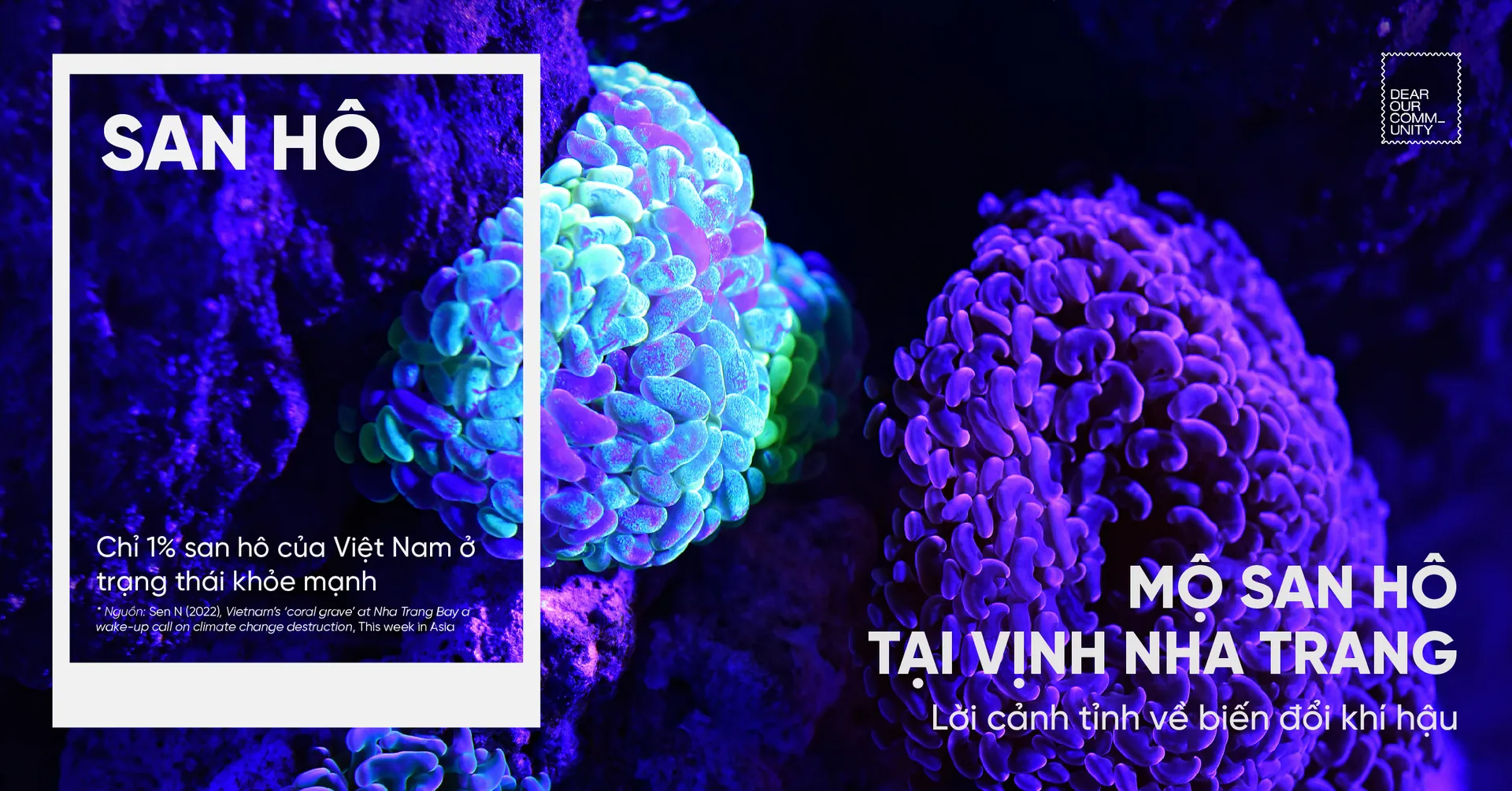 ‘Nghĩa địa san hô’ tại Vịnh Nha Trang – lời cảnh tỉnh về biến đổi khí hậu