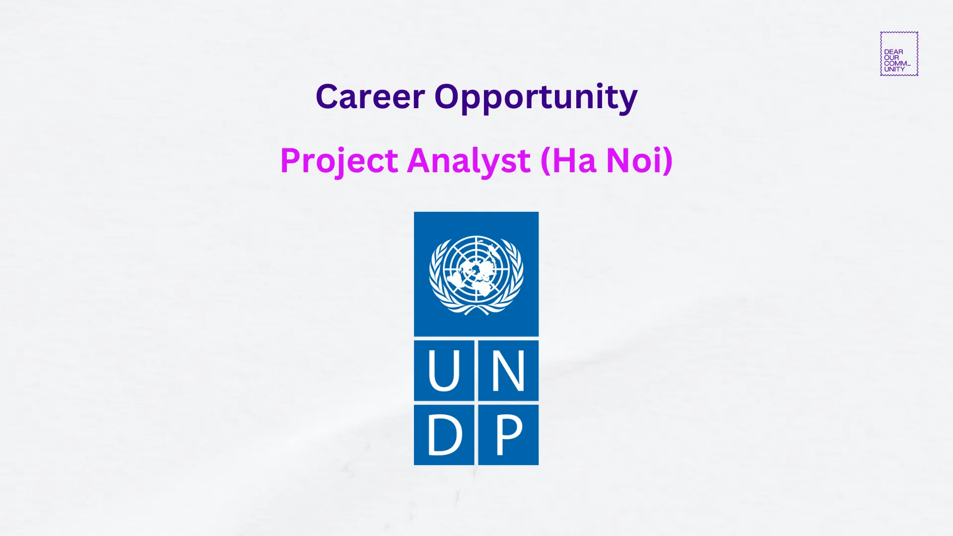 Project Analysis – UNDP (Ha Noi)